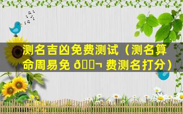 测名吉凶免费测试（测名算命周易免 🐬 费测名打分）